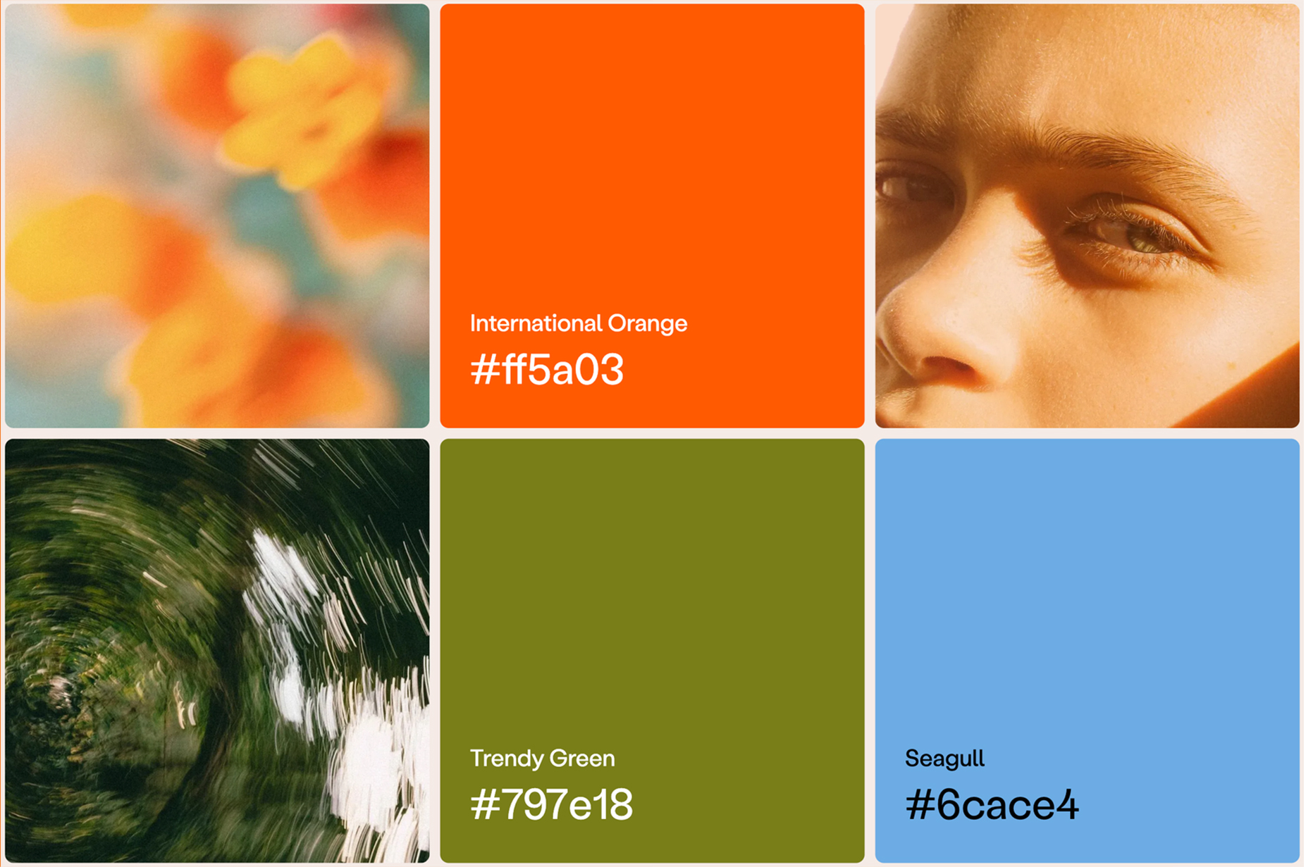 choose brand colors